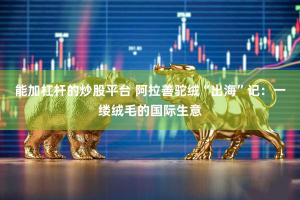 能加杠杆的炒股平台 阿拉善驼绒“出海”记：一缕绒毛的国际生意